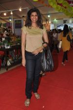 at Sahchari foundations Design One exhibition in Mumbai on 7th March 2013 (140).JPG